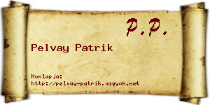 Pelvay Patrik névjegykártya